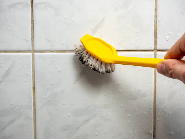 Home Mold Removal in Castle Dale, UT